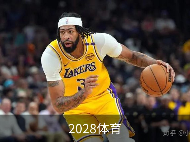 2028体育概况